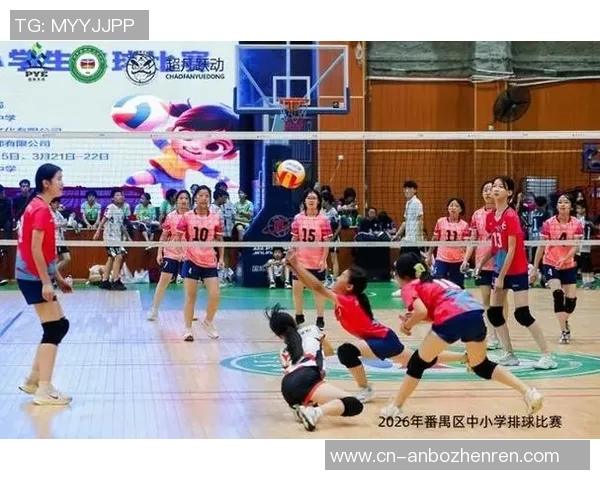 2026年3月份新闻广州排球队的节奏与魅力探讨排球运动的激情与团队精神